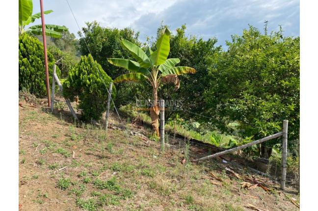 Fincas y Casas Campestres, Venta, Tuluá - $220.000.000