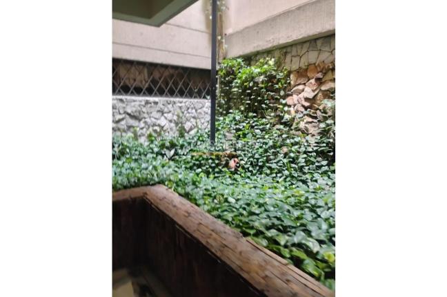 Apartamentos, Alquiler, Prados del Norte - $2.300.000