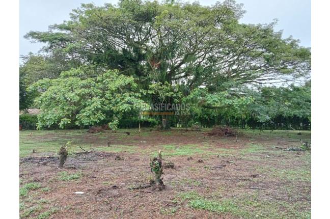 Lotes, Venta en Jamundí