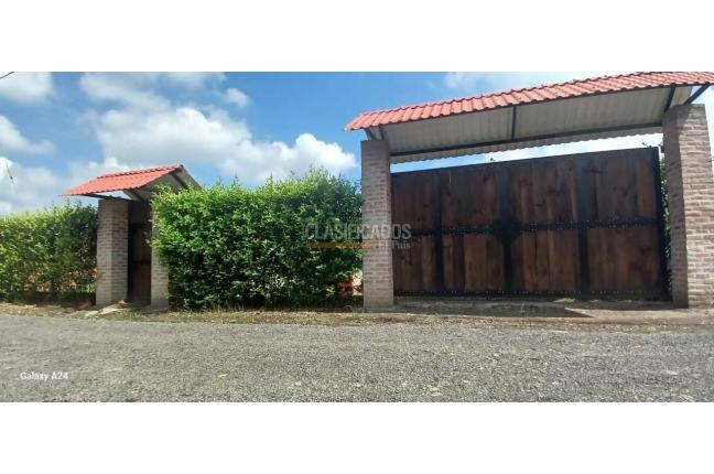 Lotes, Venta, El Cerrito - $185.000.000