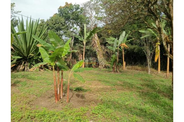 Fincas y Casas Campestres, Venta, La Cumbre