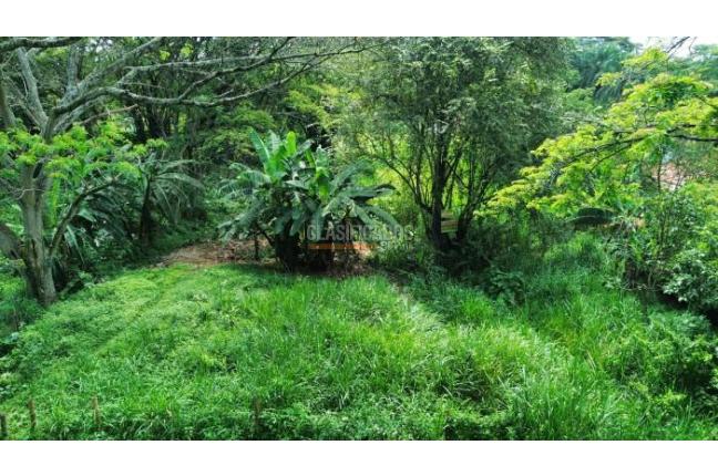 Lotes, Venta, Ciudad Bochalema - $1.200.000.000