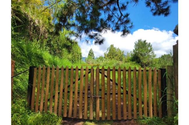 Lotes, Venta, Calima (Darién) - $500.000.000