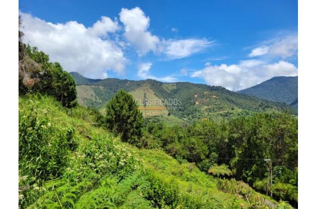 Lotes, Venta, Calima (Darién) - $500.000.000