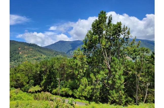 Lotes, Venta, Calima (Darién) - $500.000.000