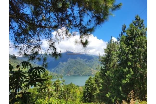 Lotes, Venta, Calima (Darién) - $500.000.000