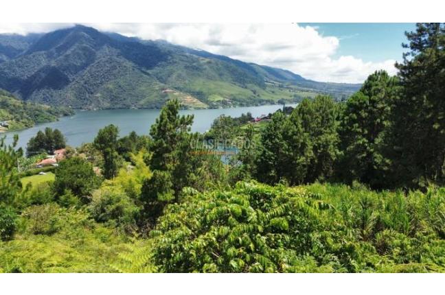 Lotes, Venta, Calima (Darién) - $500.000.000