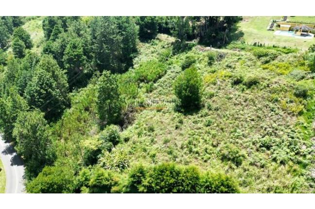 Lotes, Venta, Calima (Darién) - $500.000.000