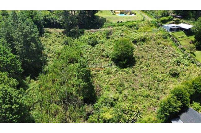 Lotes, Venta, Calima (Darién) - $500.000.000