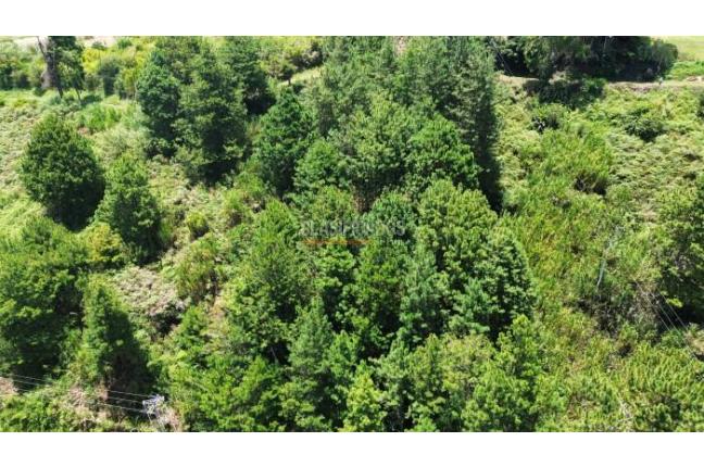 Lotes, Venta, Calima (Darién) - $500.000.000