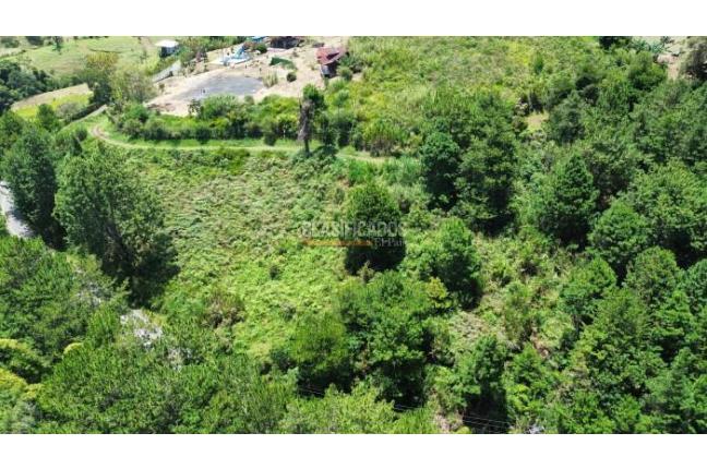 Lotes, Venta, Calima (Darién) - $500.000.000