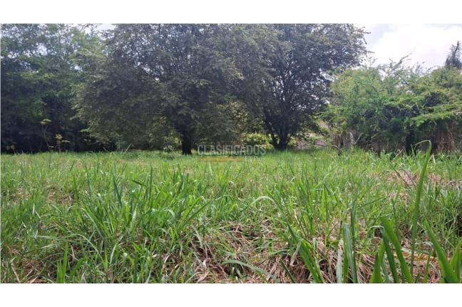 Lotes, Venta en Pance