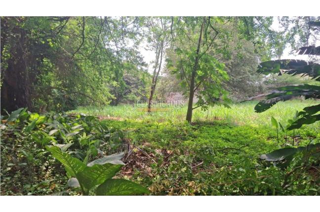 Lotes, Venta, Pance - $1.600.000.000