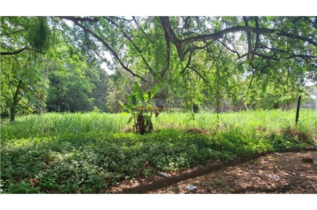 Lotes, Venta, Pance - $1.600.000.000