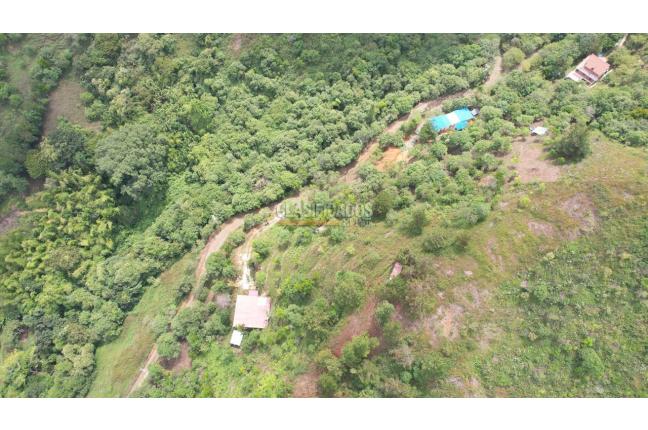 Fincas y Casas Campestres, Venta, Vijes - $297.000.000