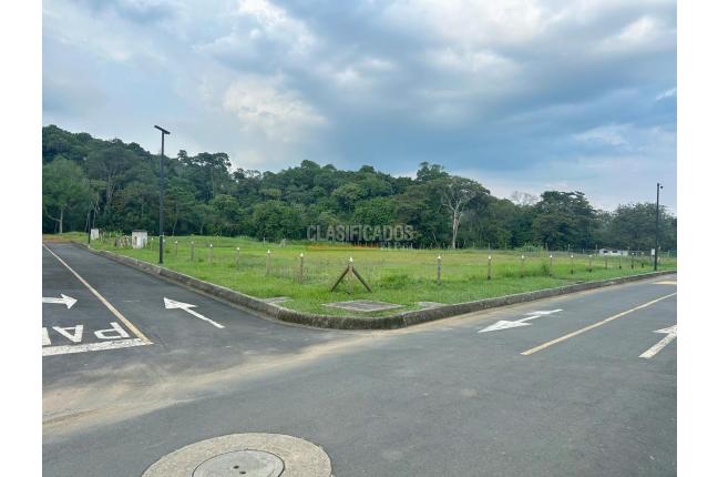 Lotes, Venta en Pance