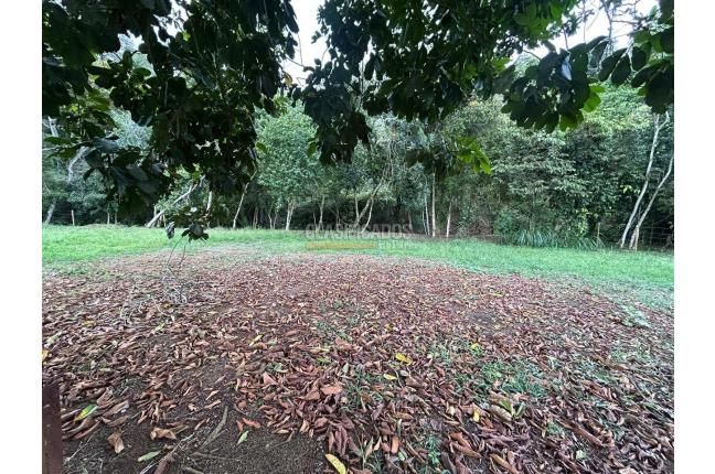 Lotes, Venta, Pance - $2.100.000.000