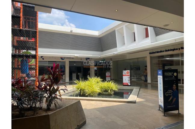 Locales y Bodegas, Alquiler en La Playa