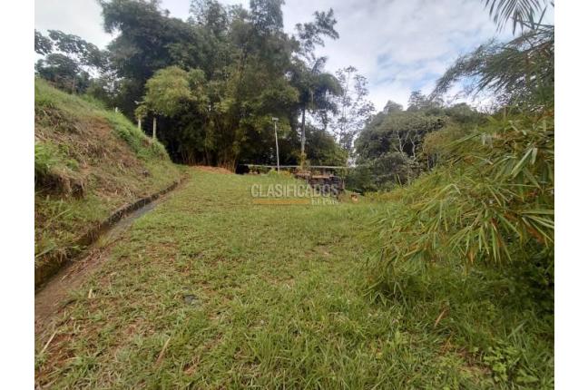 Lotes, Venta, La Buitrera - $295.000.000