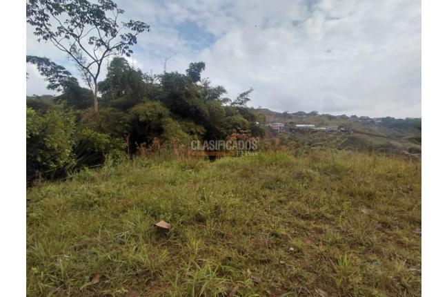 Lotes, Venta, La Buitrera - $295.000.000