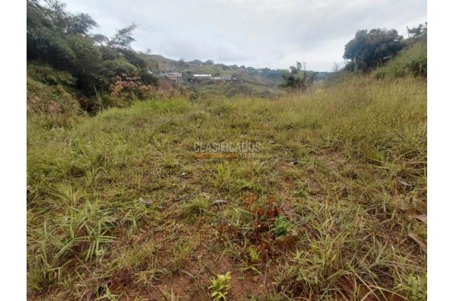 Lotes, Venta, La Buitrera - $295.000.000