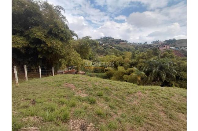 Lotes, Venta en La Buitrera