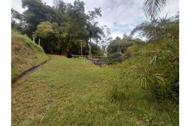 Lotes, Venta, La Buitrera - $295.000.000