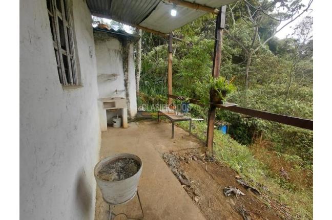 Lotes, Venta, La Buitrera - $295.000.000