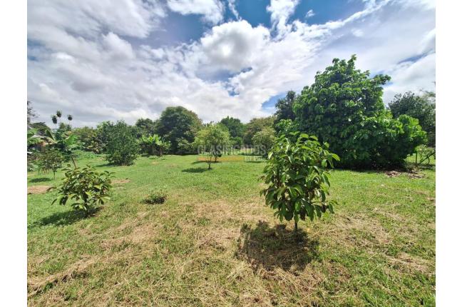 Lotes, Venta, Ginebra - $600.000.000