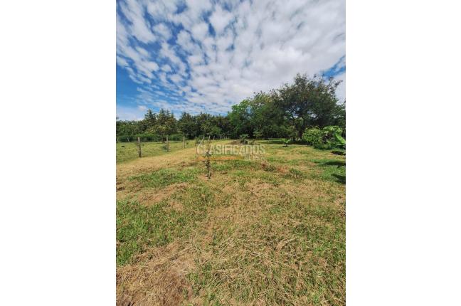 Lotes, Venta, Ginebra - $600.000.000