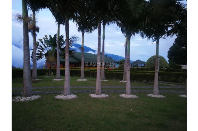 Fincas y Casas Campestres, Venta, Calima (Darién) - $1.800.000.000