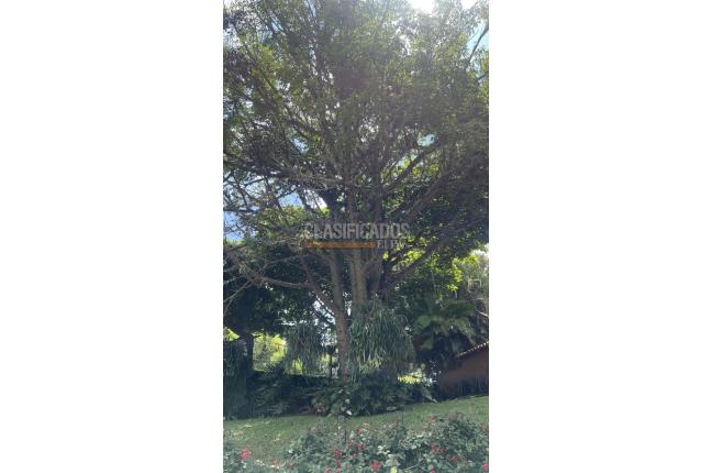 Casas, Venta, Ciudad Jardín - $750.000.000