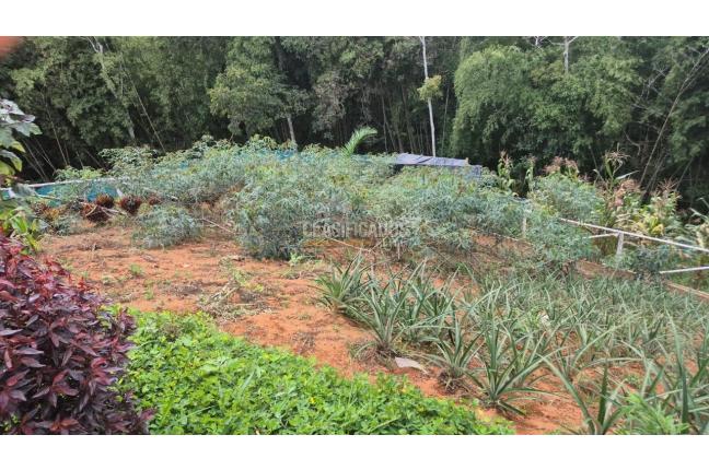 Casas, Venta, Yumbo - $600.000.000