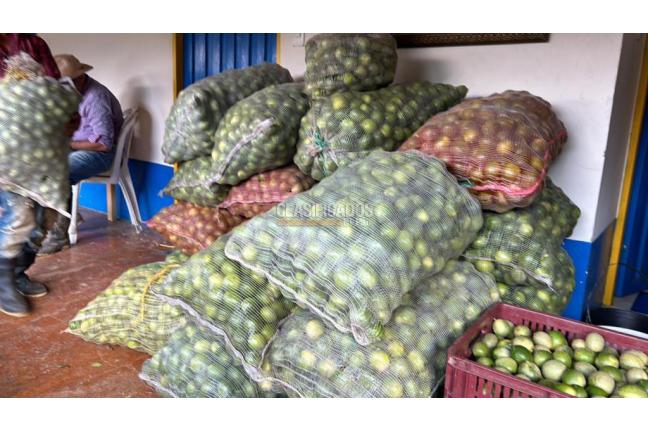 Fincas y Casas Campestres, Venta en Anserma