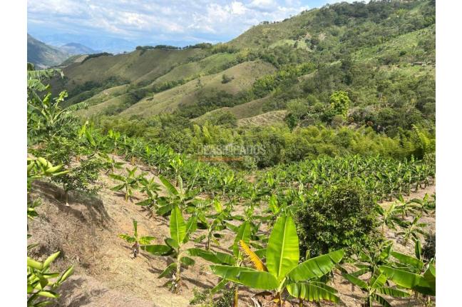 Fincas y Casas Campestres, Venta en Anserma