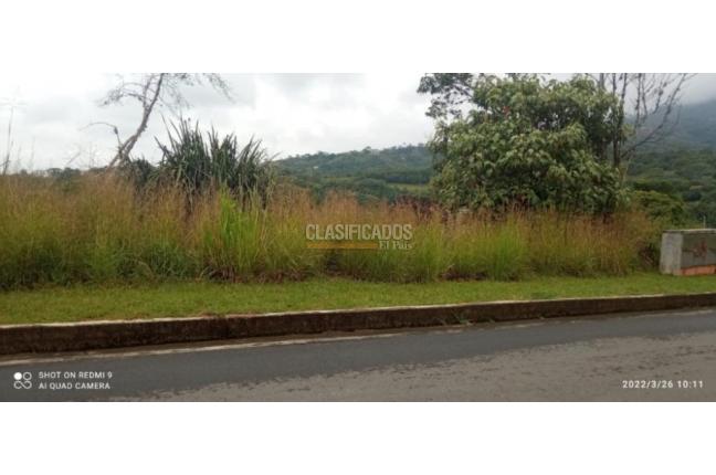 Lotes, Venta en Pance