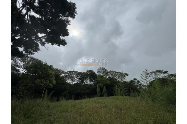 Lotes, Venta, Pance - $1.000.000.000