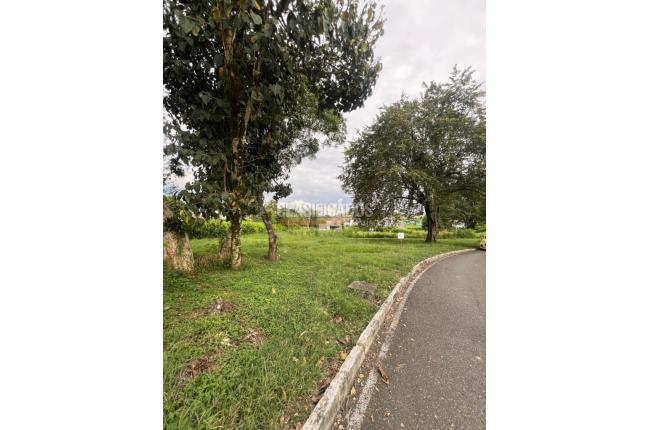 Lotes, Venta en Cartago