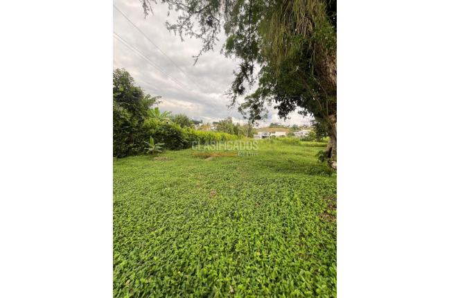 Lotes, Venta en Cartago