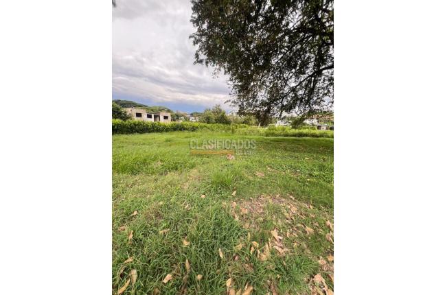 Lotes, Venta en Cartago