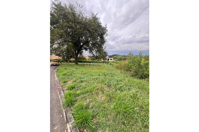 Lotes, Venta, Cartago - $350.000.000