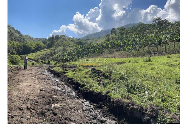 Fincas y Casas Campestres, Venta, Anserma - $1.100.000.000