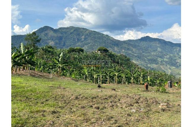 Fincas y Casas Campestres, Venta, Anserma - $1.100.000.000