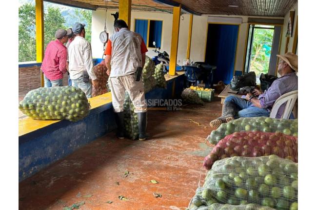 Fincas y Casas Campestres, Venta, Anserma - $1.100.000.000