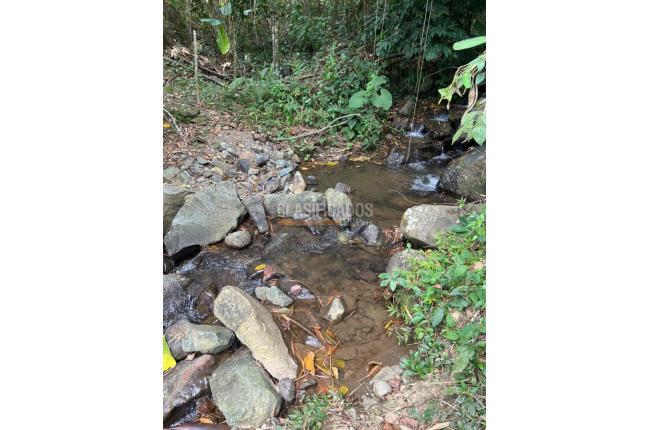 Fincas y Casas Campestres, Venta, Anserma - $1.100.000.000