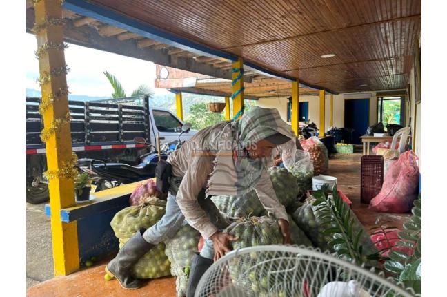 Fincas y Casas Campestres, Venta, Anserma - $1.100.000.000