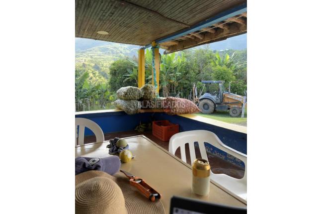 Fincas y Casas Campestres, Venta, Anserma - $1.100.000.000