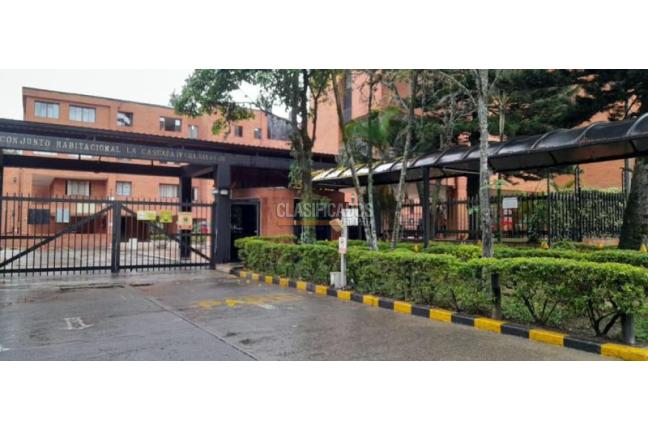 Apartamentos, Alquiler en Seminario