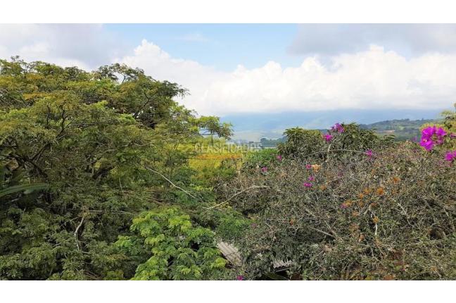 Lotes, Venta en Calima (Darién)