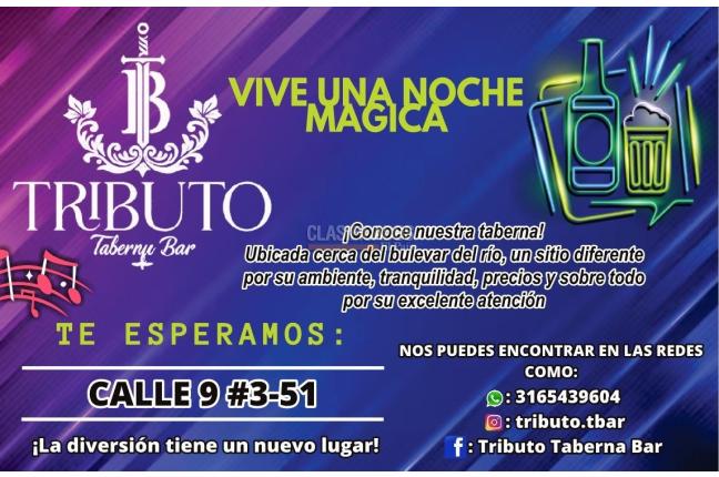 Oportunidad venta taberna bar - Negocios Establecidos